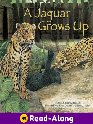 cover image of A Jaguar Grows Up